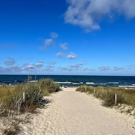 Sonneck, App 18 ゼリン